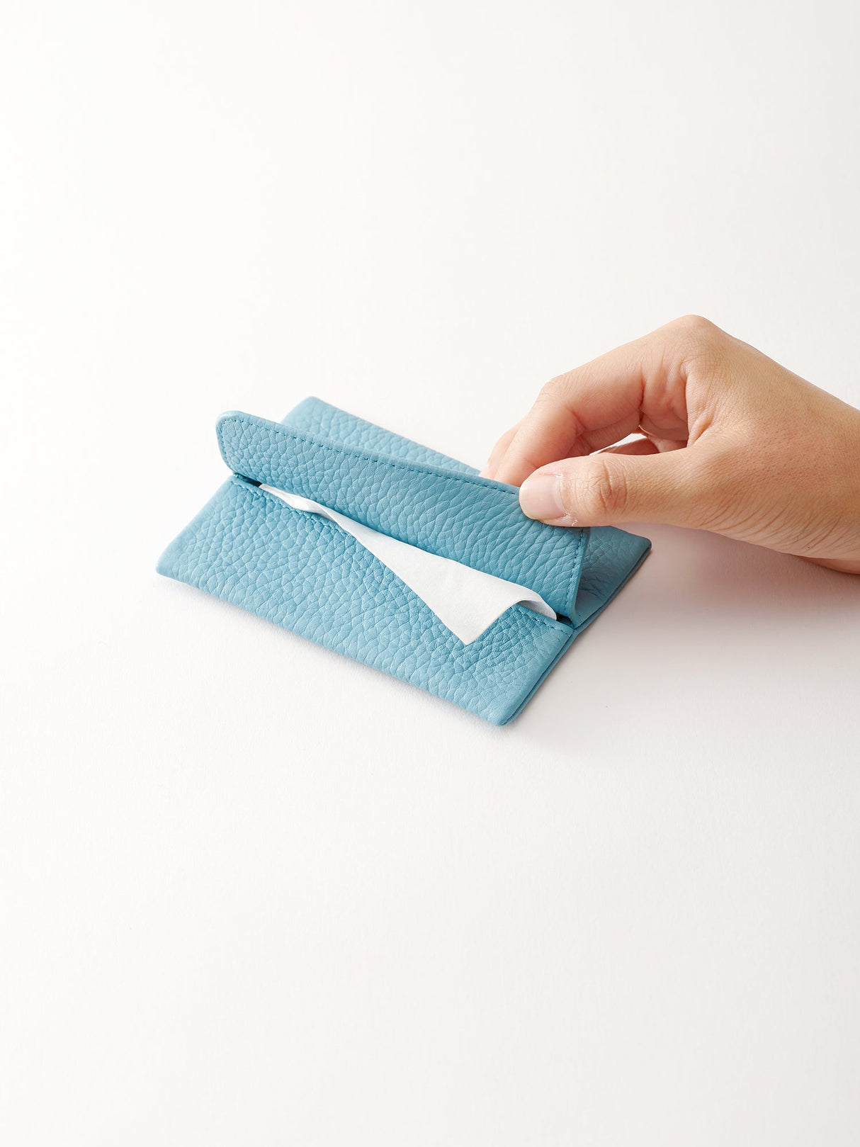 LADELINE TISSUE CASE