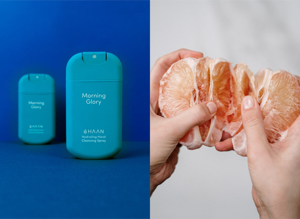 HAAN ハーン ハイドレーティング クレンジングハンドスプレー【詰替タイプ】Daily Moods