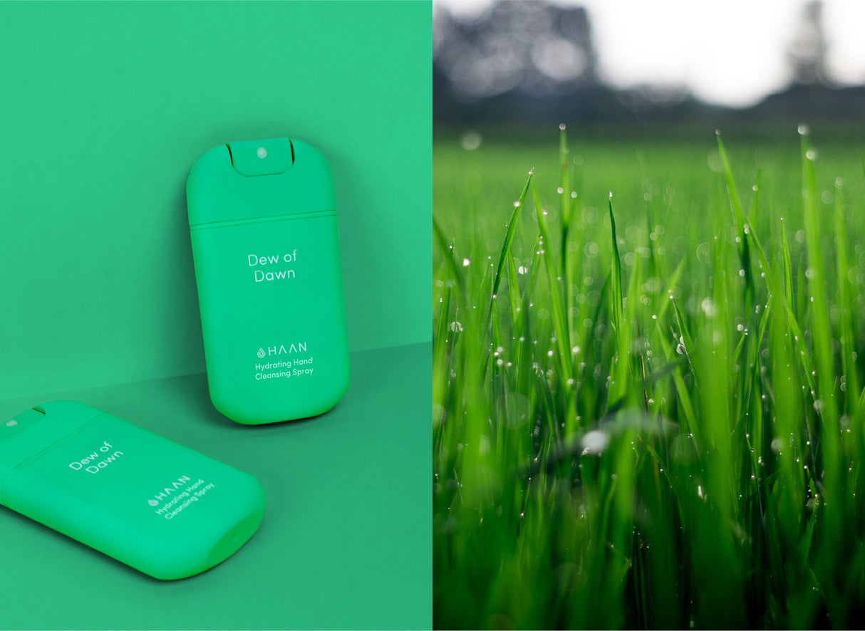 HAAN ハーン ハイドレーティング クレンジングハンドスプレー【詰替タイプ】Daily Moods